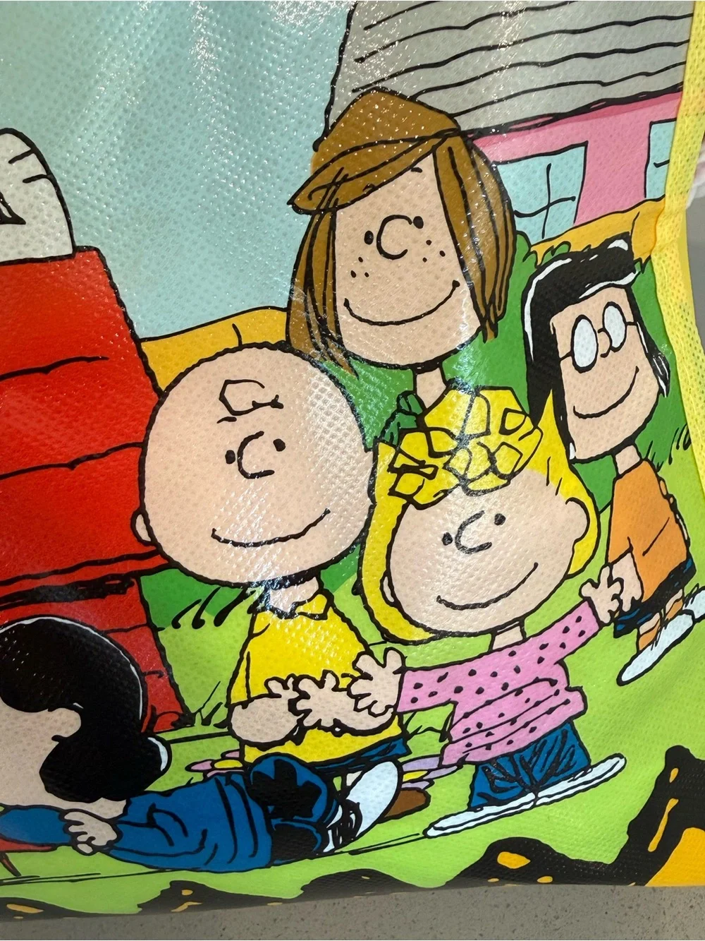 Peanuts shopper tote NWT snoopy, Charlie Brown, Lucy Peanuts gang